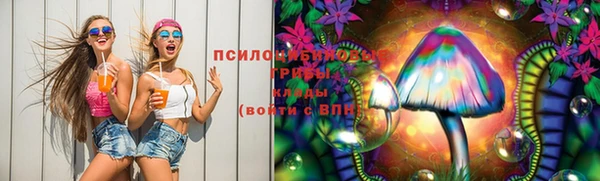 прущий лед Горно-Алтайск