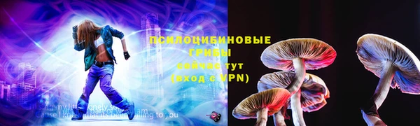 spice Горнозаводск