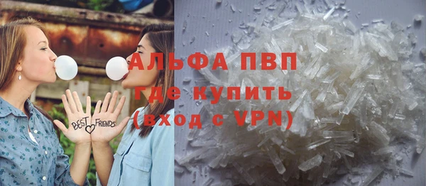 стафф Надым
