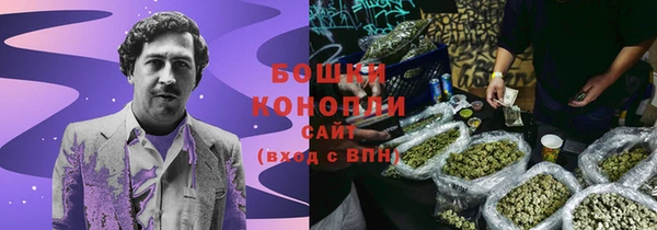 прущий лед Горно-Алтайск